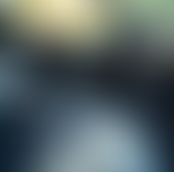 How to Keep Your Car Interior Clean in the Rainy Pacific Northwest with Professional Detailing