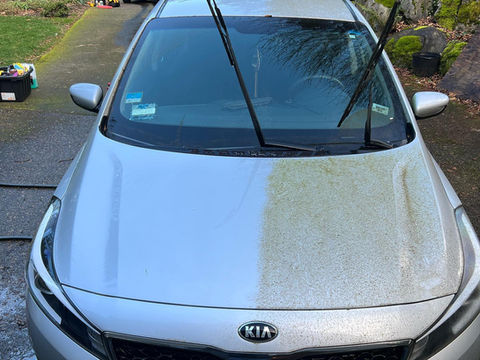 Algae Removal by Mobile Detailer