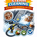 Stain Removal with Steam