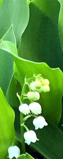 IMG_0401 2_edited.jpg