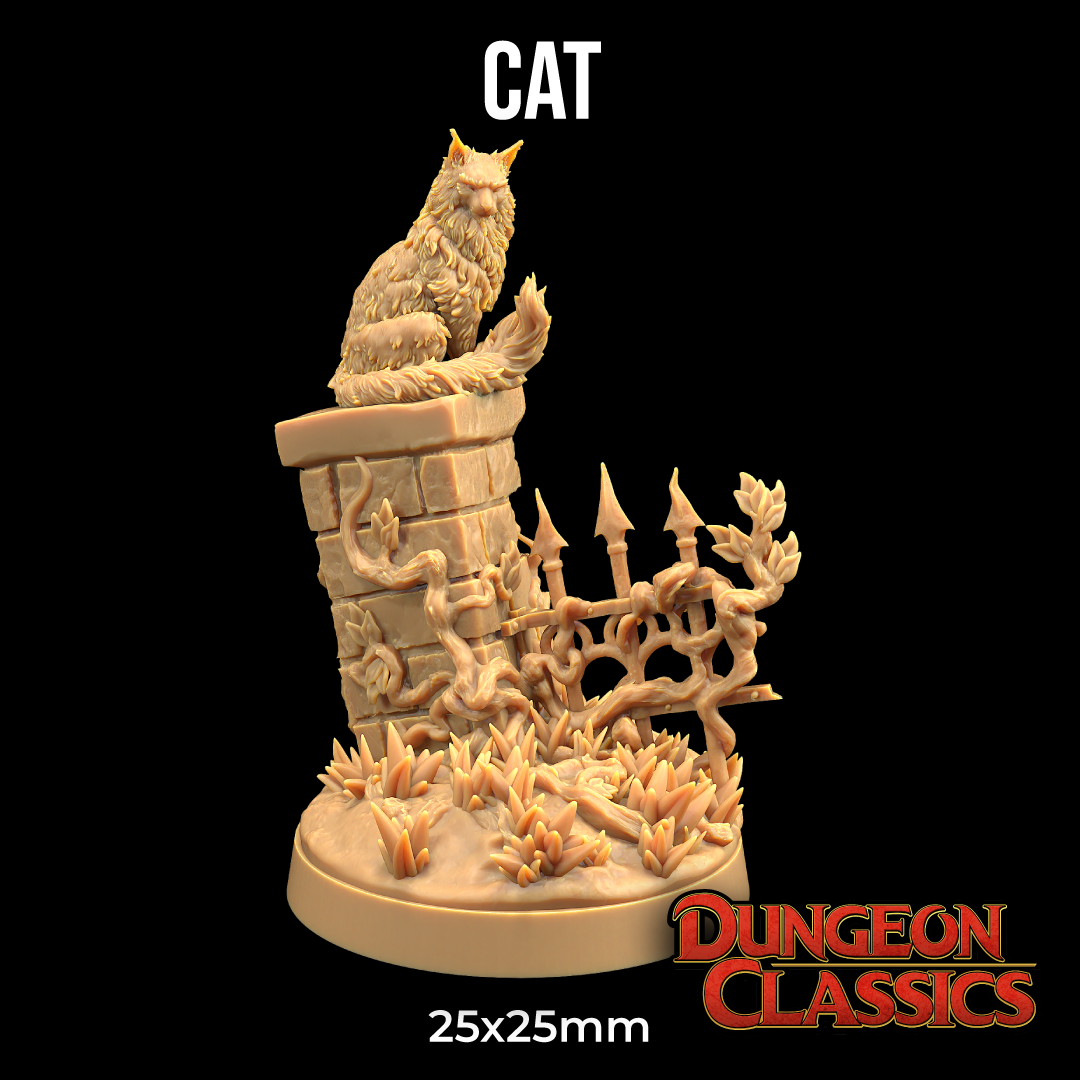 Cat