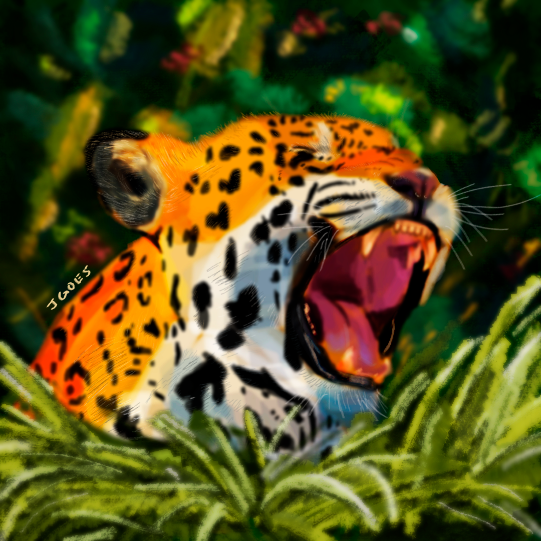 O grito da onça pintada