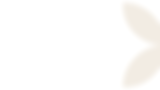 Bakgrund_löv_webb (8).png