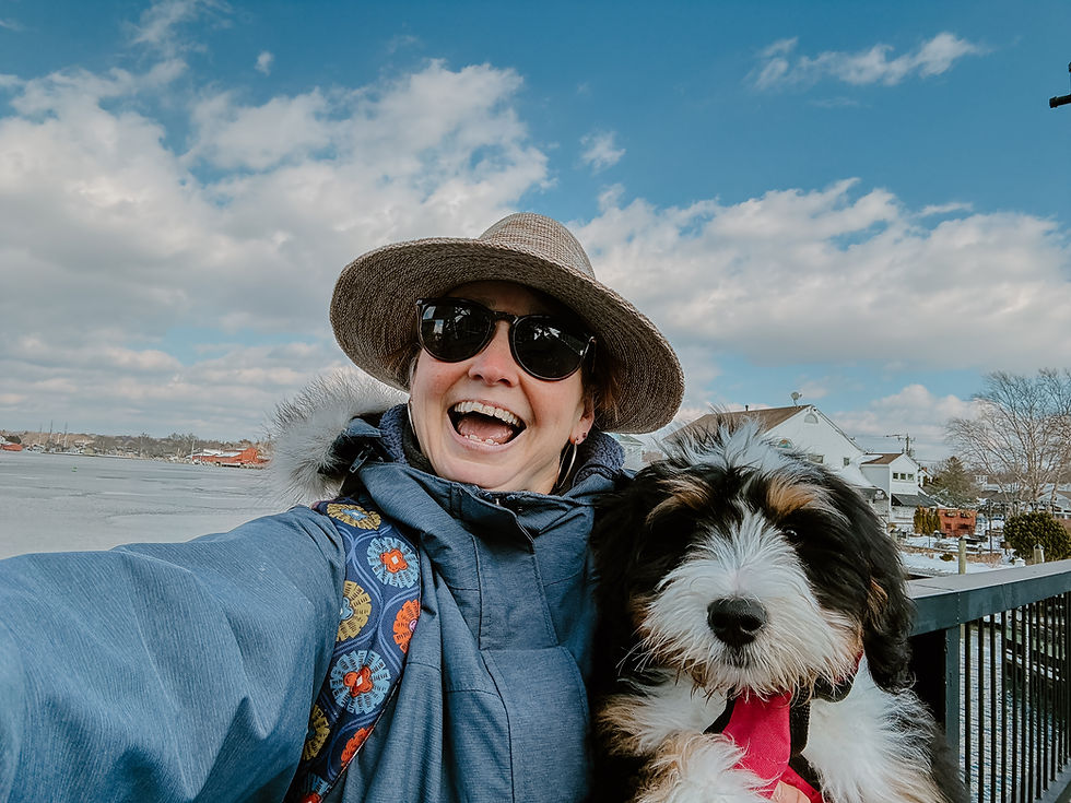 The Traveling Tourist