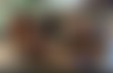 Un juliol ple d’aventures, aprenentatges i diversió 