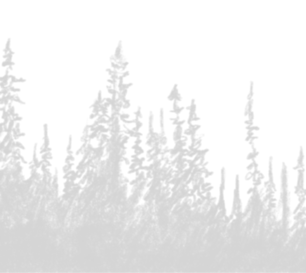 silhouettes of trees against a solidgreen background