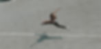 DSCF3055_edited.jpg
