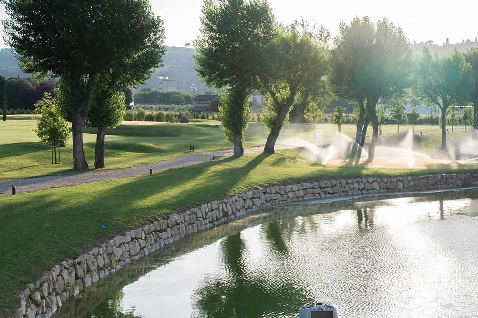 Laghetto in un parco