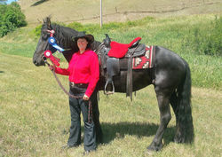 Western Show Winner 2016