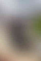 Photographer Fort Myers to Naples