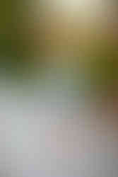 Photographer Fort Myers to Naples - Photography Session Lakes Park