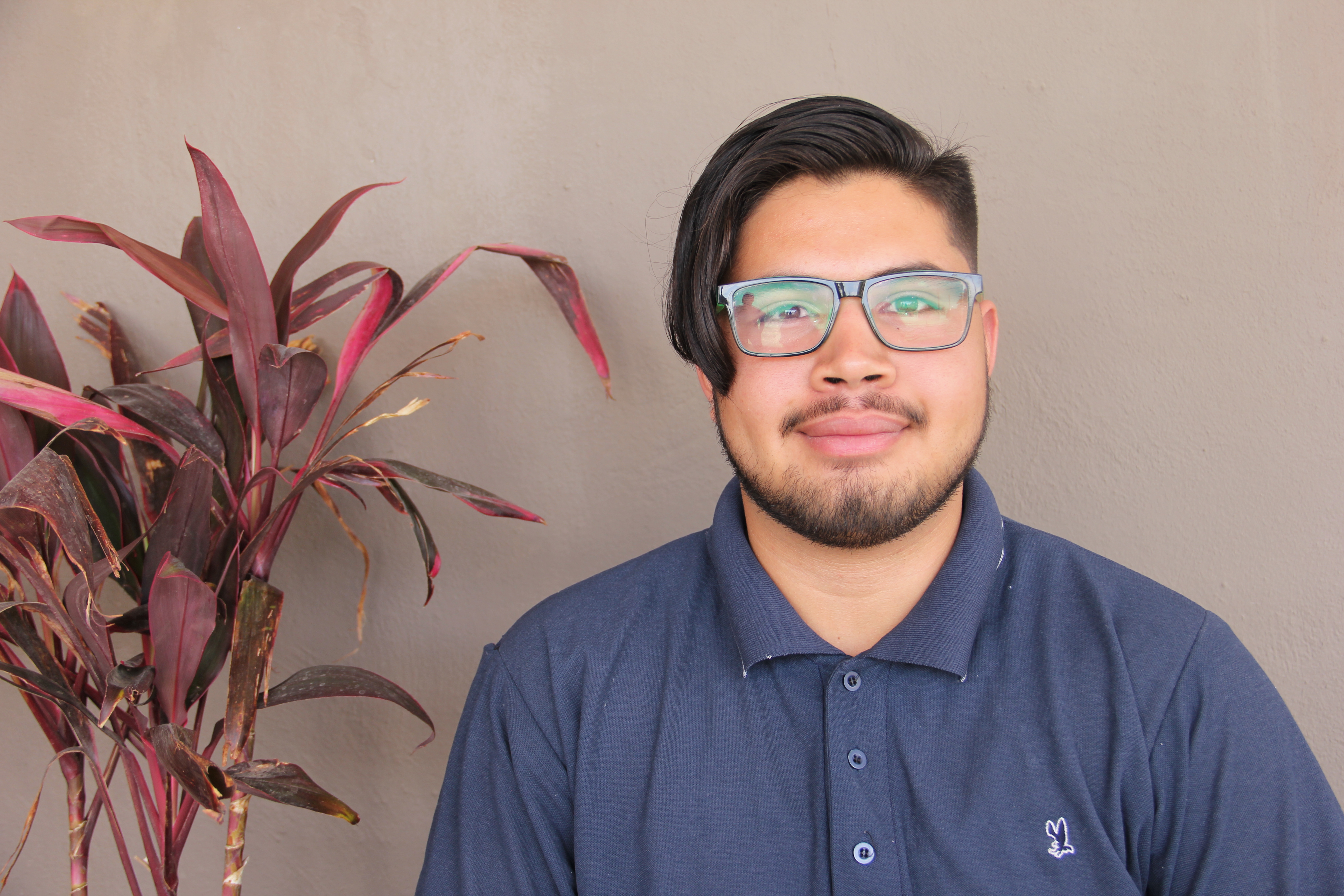 Luis - Operations
