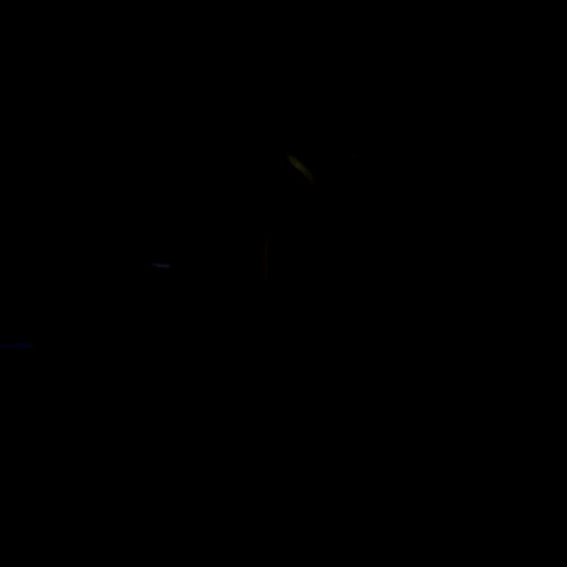 logo (5).gif