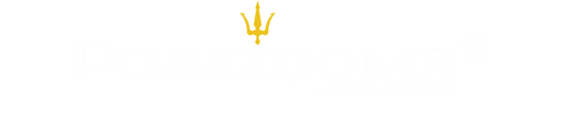 LOGO POSEIDOME - BLANC 2.png