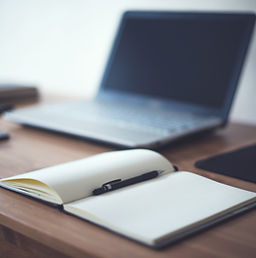 Script writing & Editing