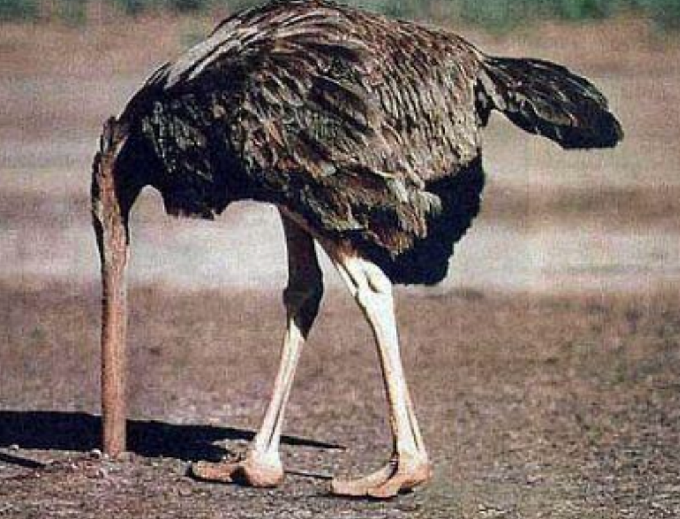ree