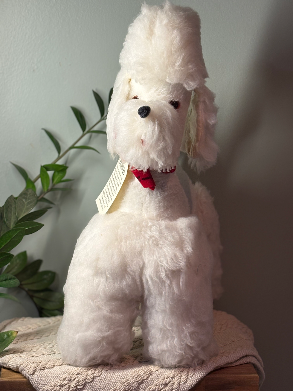 Thumbnail: Frances-White poodle-restored vintage stuffed animal