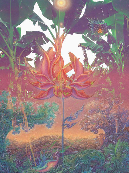 CRÓNICAS DE UN RITUAL DE AYAHUASCA [Salento, Colombia]