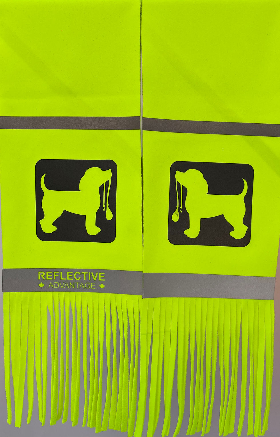Dog Leash - Hi Vis Yellow