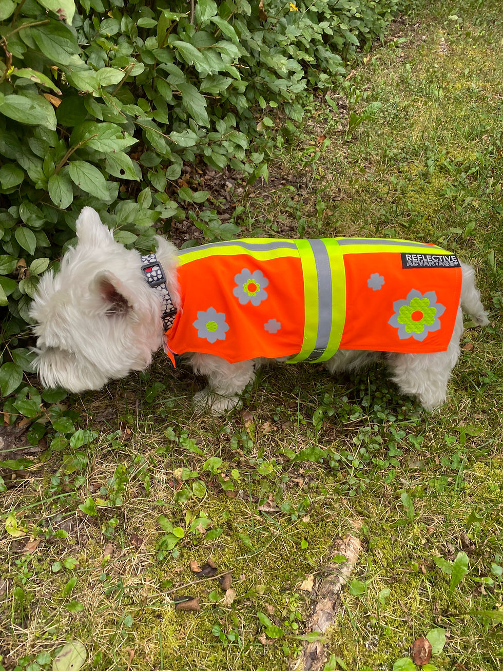 Thumbnail: Pretty Flowers - Neon Reflective Dog Coat