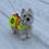 Thumbnail: Pretty Flowers - Neon Reflective Dog Coat