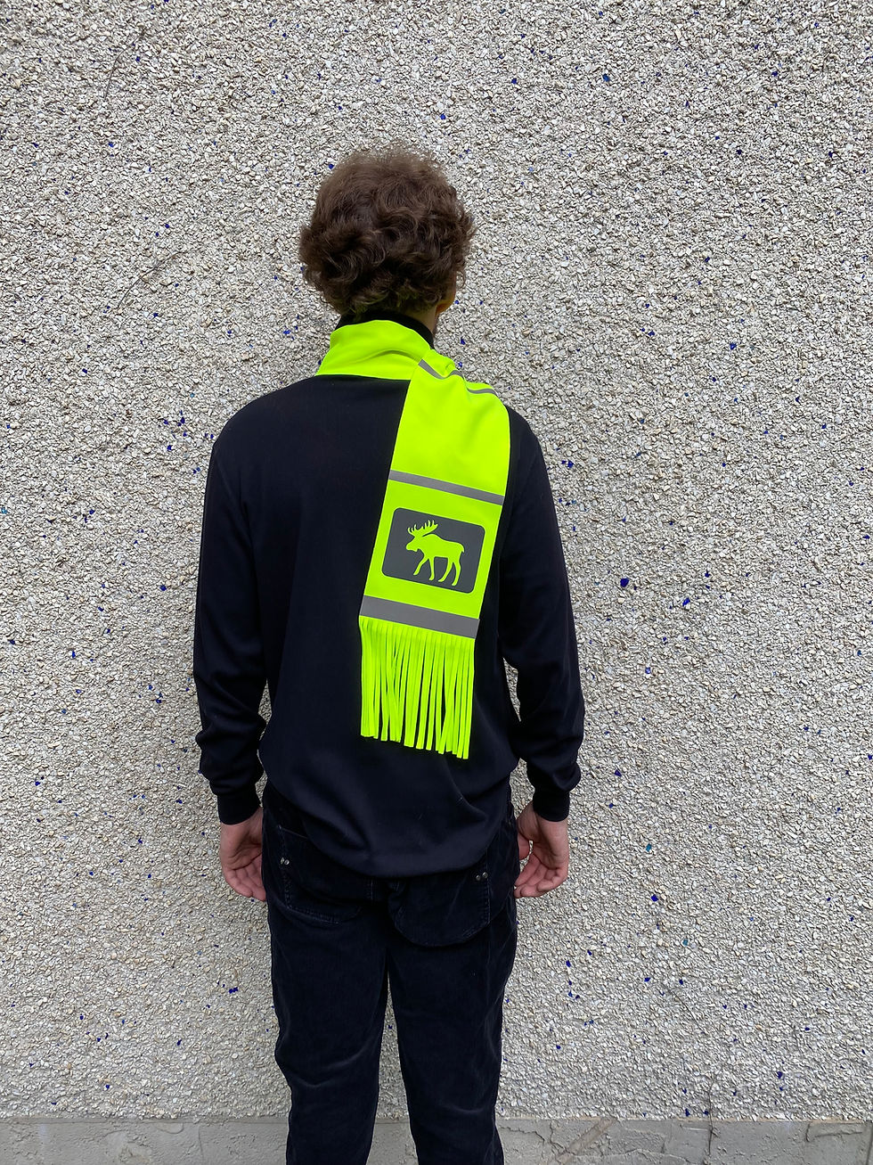 Thumbnail: Moose - Hi Vis Yellow