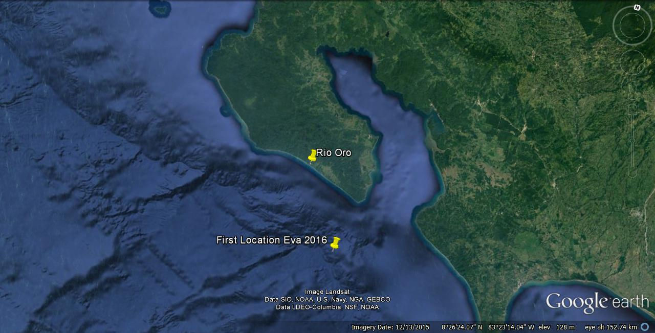 First Location Eva 2016