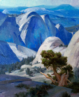 Domain of the Juniper web.jpg