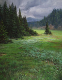Where the Grasses Glow