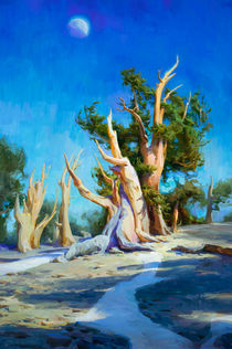 Purchase through Medicine Man Gallery