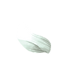 petal 1-01.png