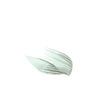 petal 1-01.png