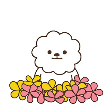 10.gif