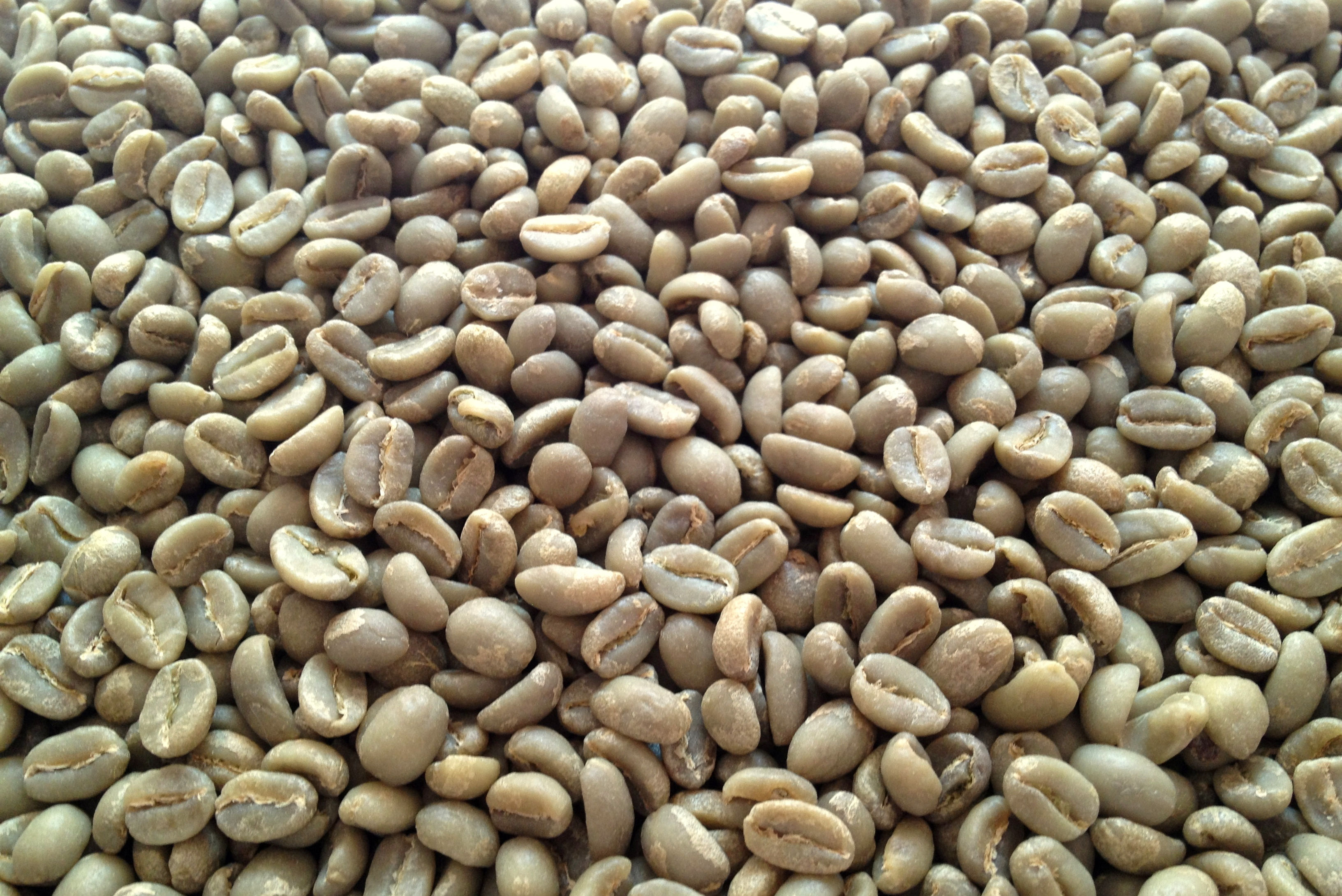 Ethiopia Yirgacheffe Misty Valley (Washed)