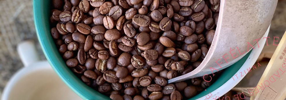 WhatsApp Image 2022-02-15 at 4.00.14 PM.jpg