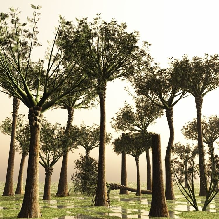 Representación de uno de los primeros árboles