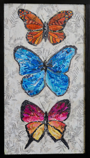 Butterfly Collection