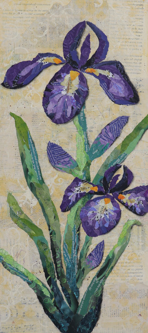 Purple Iris