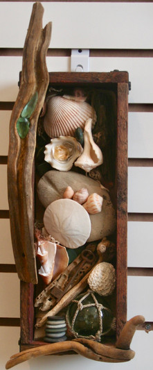 Treasures from the Sea