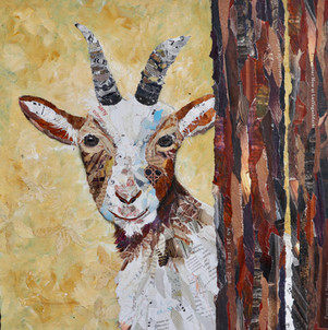 Goat Yoga?