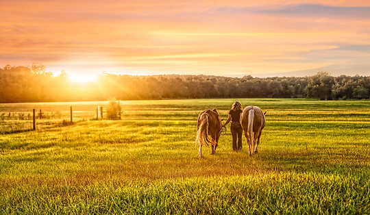 Senior portrait with horse by Sandy Hunt Photography in Northwest Florida