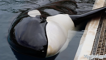 Screenshot 2023-12-17 at 1.35.20 PM.png