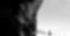 BW6_edited.jpg