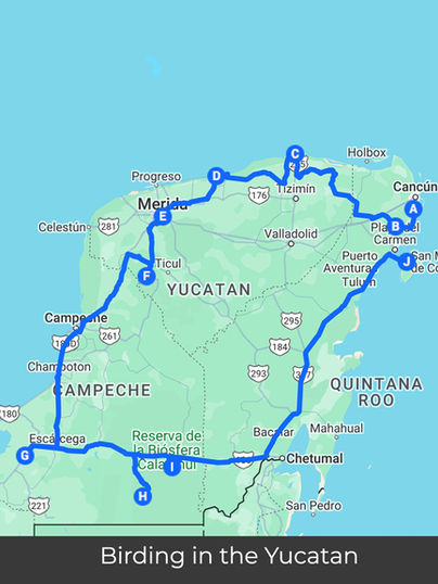 Route map of the birding tour in the Yucatan Peninsula