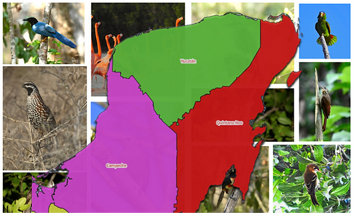 Captura de pantalla 2026-07-28 221415.png