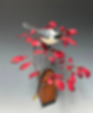 Chickadee in a burning bush.jpg