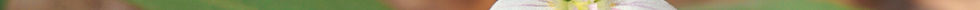 GettyImages-1190411433_edit 1.jpg