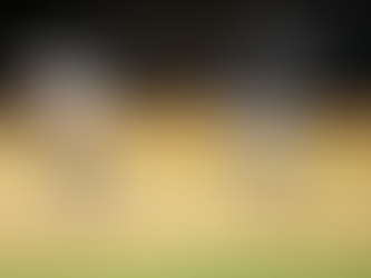 Tragic Loss on the Cricket Field: 22-Year-Old Succumbs to Heart Attack in Madhya Pradesh