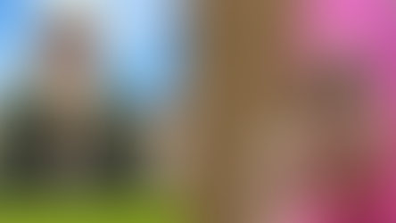 India's Supreme Court Reverses Controversial Release: 11 Men Convicted of Gang Rape Ordered Back to Jail