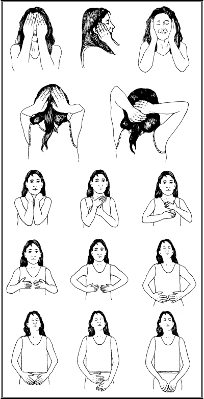 Reiki Hand Positions